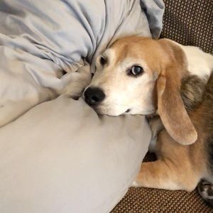 Meet your Posher, Hillary